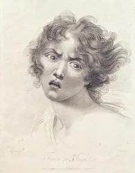 Terror o miedo, 1815